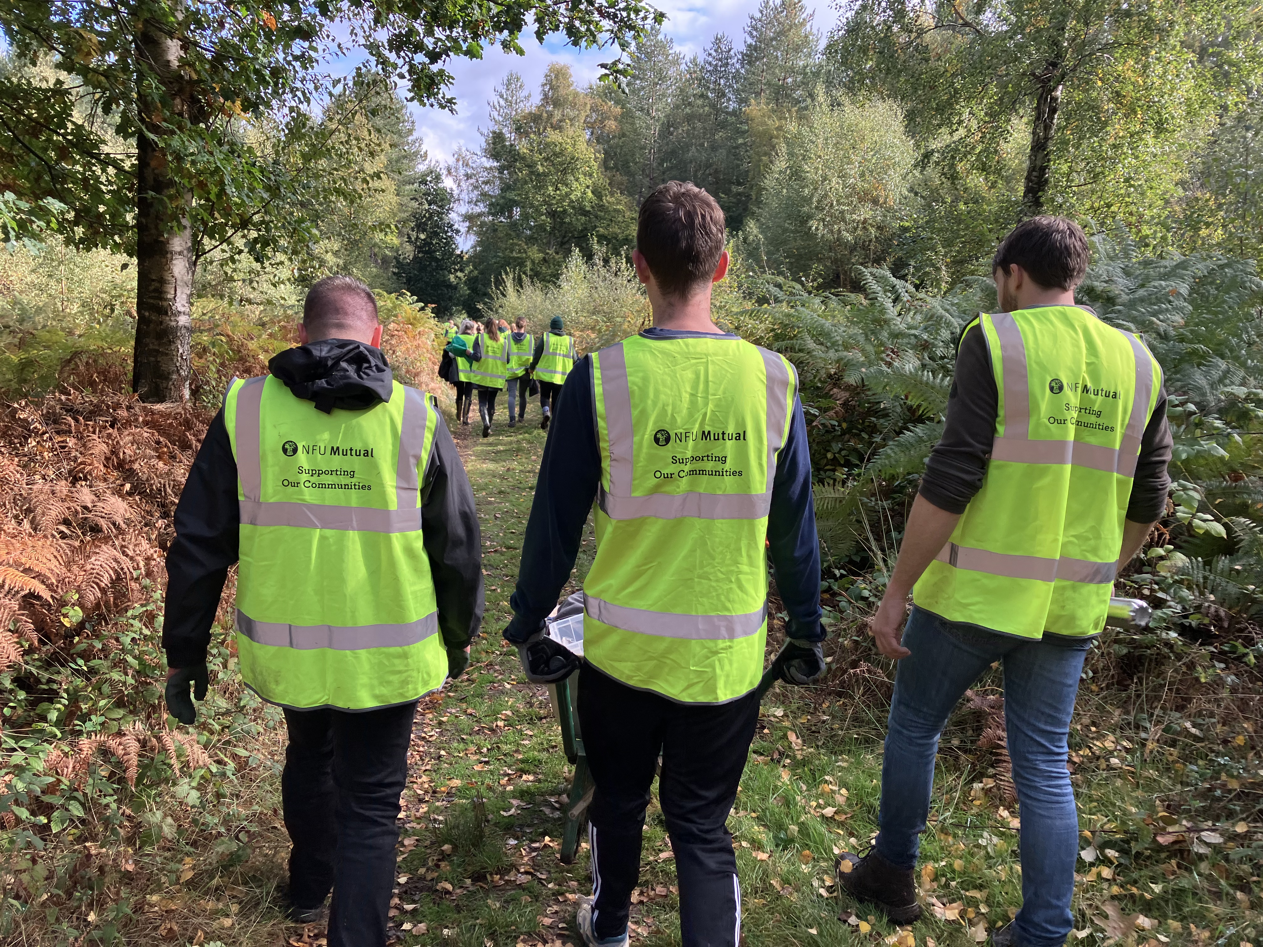 NFU Mutual employees volunteering in a wooded area