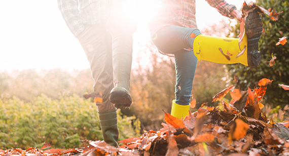 Kicking autumn leaves thumbnail